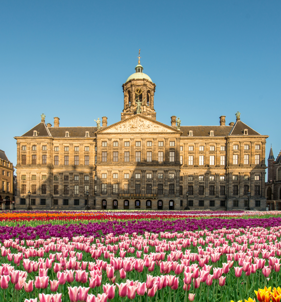 Dam square with blooming tulips