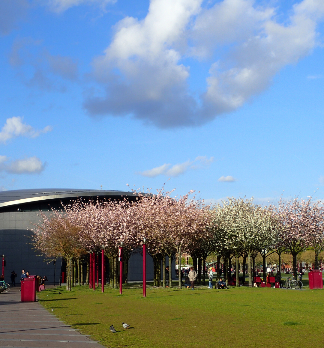 Van Gogh museum 
