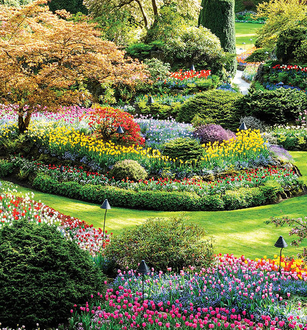 Burcharts Gardens