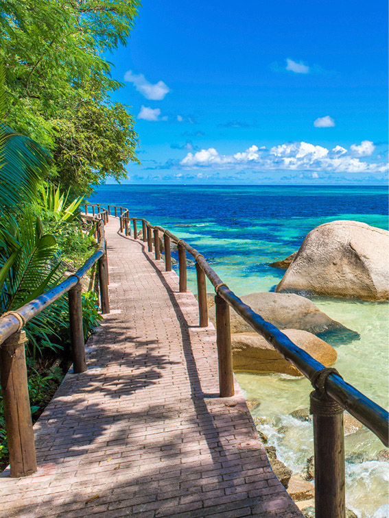 Bridge along the coast of Praslin Island, Seychelles with vibrant clear blue water around a boulder, surrounded by lush green foliage