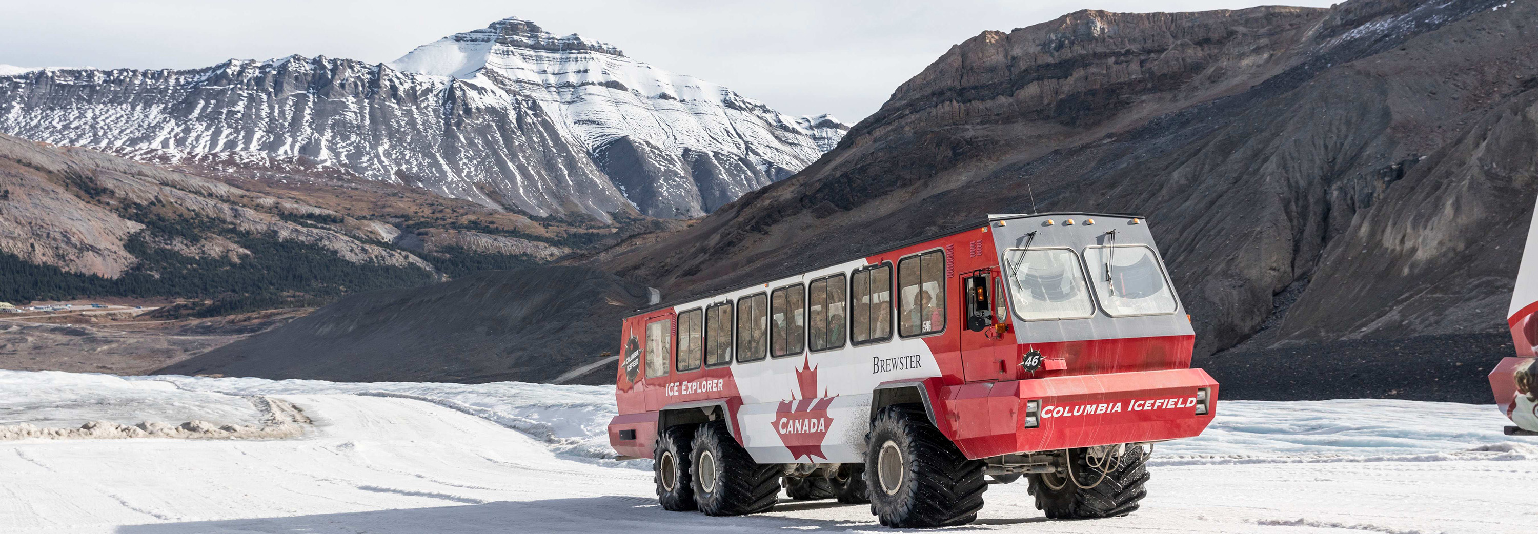 Jump on board the ‘Ice Explorer’ to climb the Athabasca Glacier