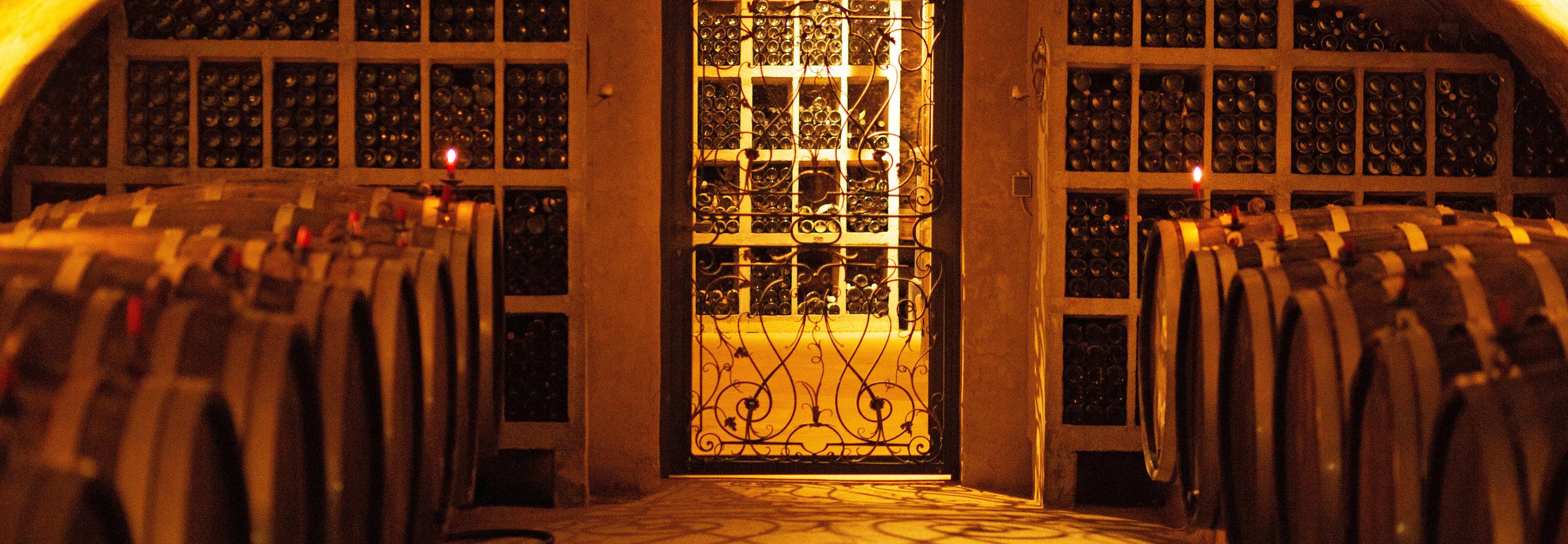 Wine tasting experience in Bernkastel