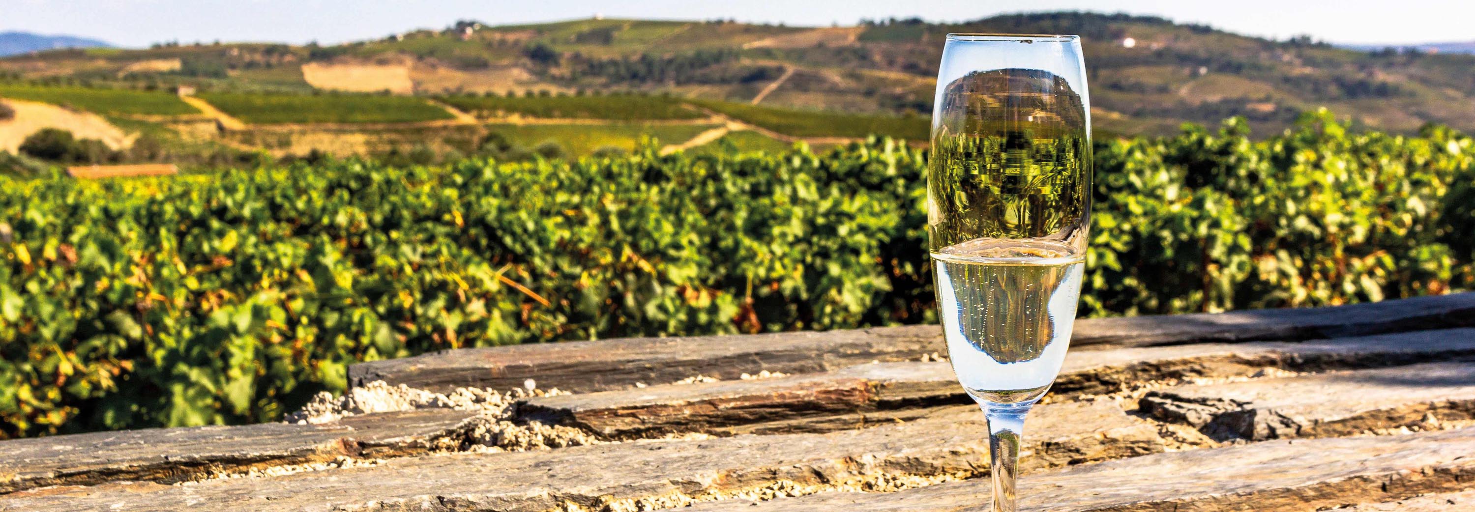 Copita wine glass