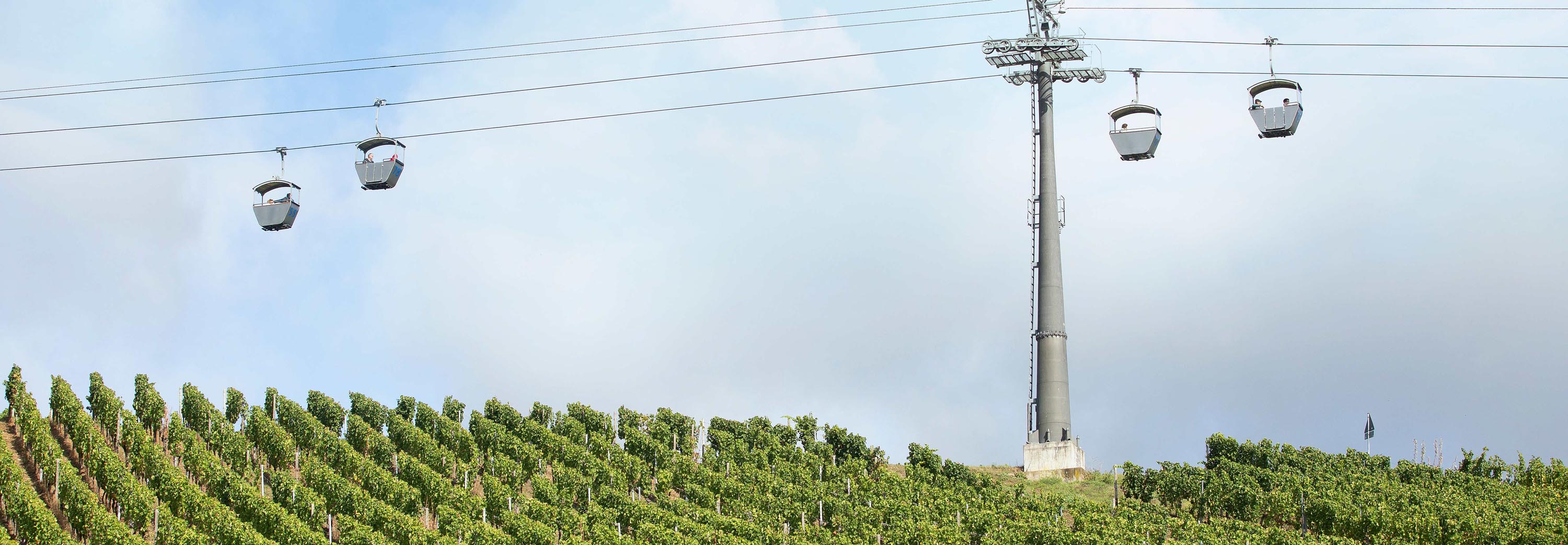 Rüdesheim vineyard, Germany