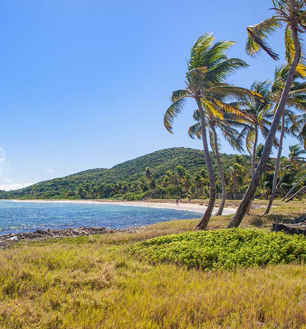 salt whistle bay mayreau
