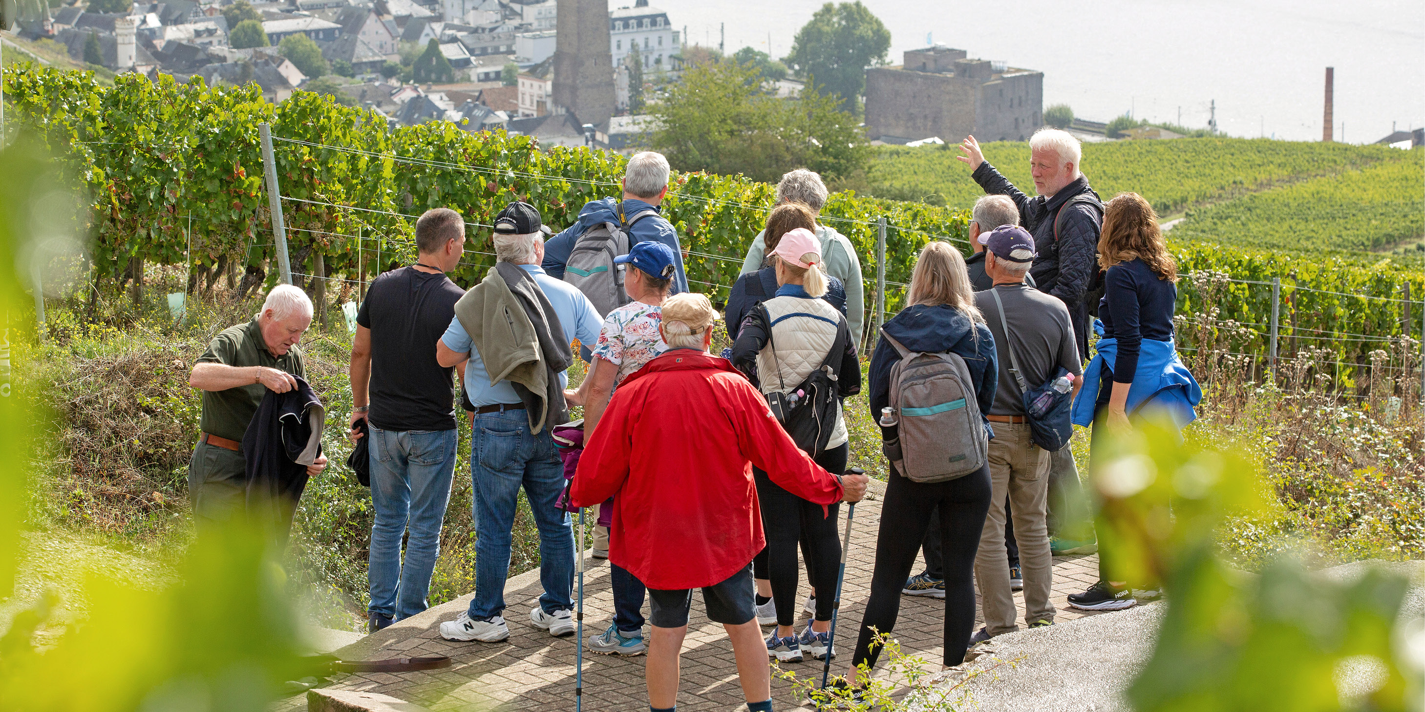 Group tour at vineyard
