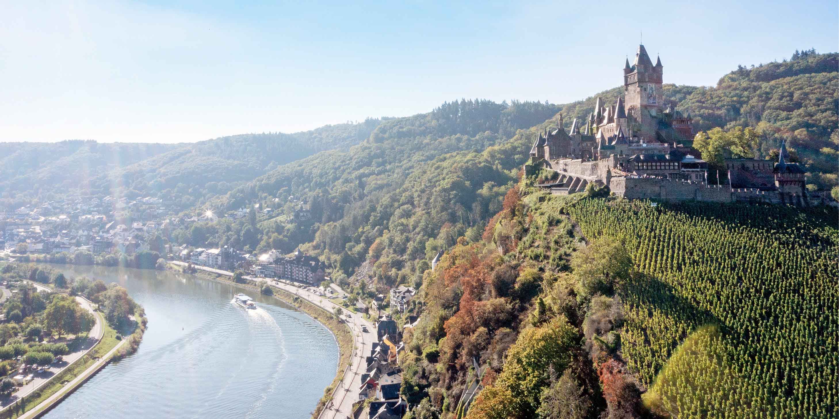 Rows of green field vineyards and Cochem Castle from the river