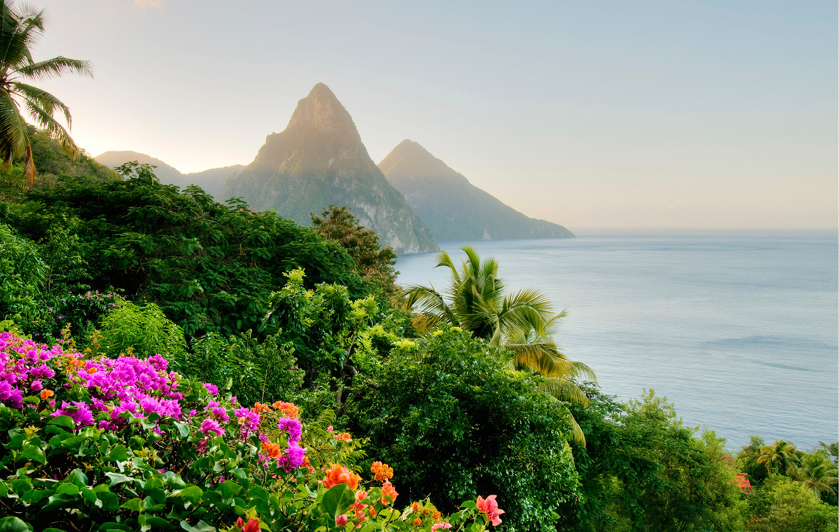 A stunning shot at dusk, overlooking palm trees towards the Pitons of St. Lucia