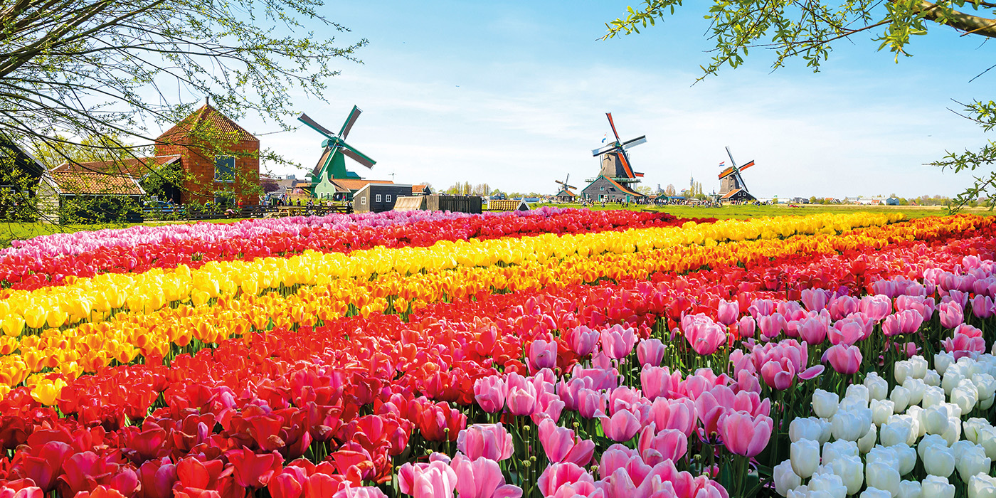 Keukenhof Gardens
