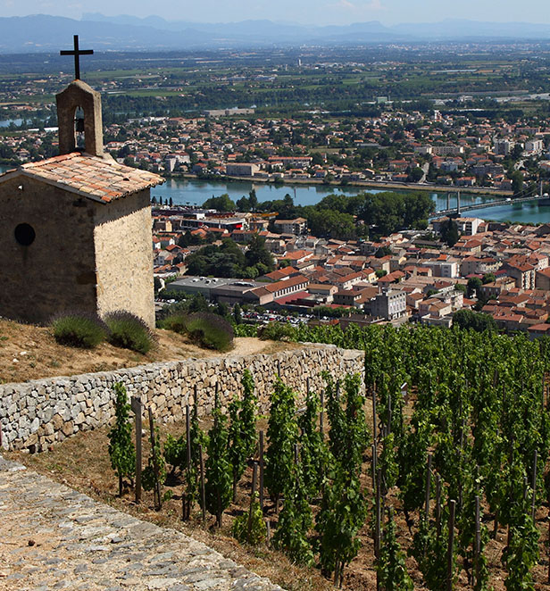 Tournon Vineyard Rhone Valley Provence, France