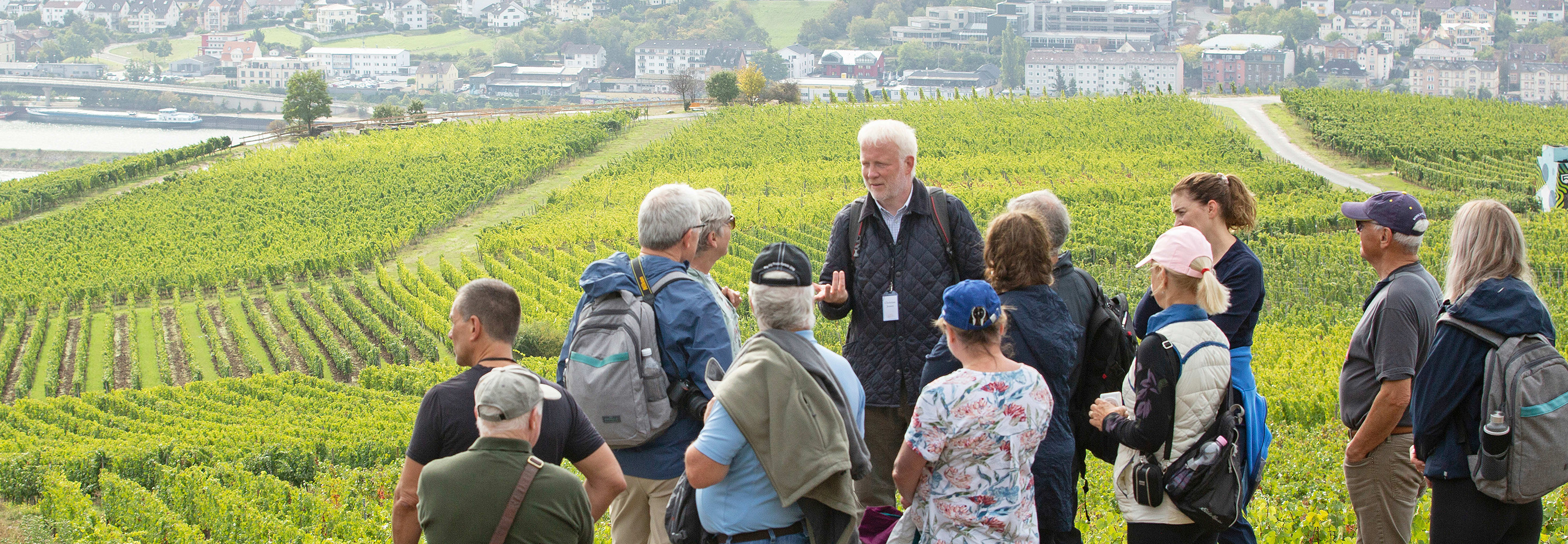Emerald Cruises: Vineyard hikes through the EmeraldACTIVE program are included.